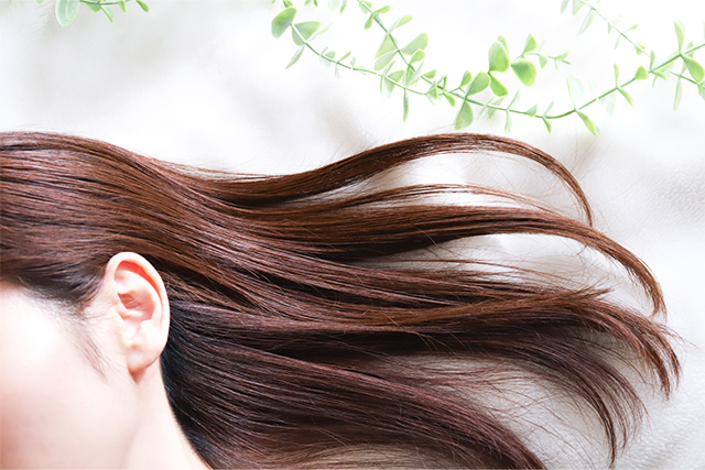 プラセンタとは？